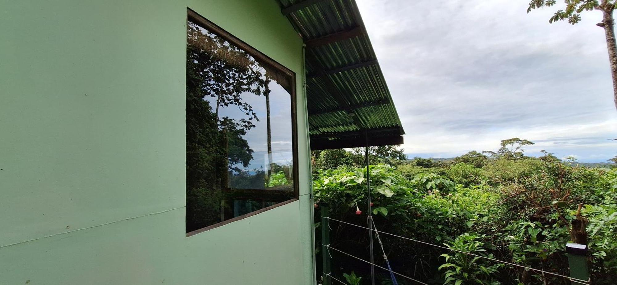 Monteverde Cecropia Paradise Rom bilde