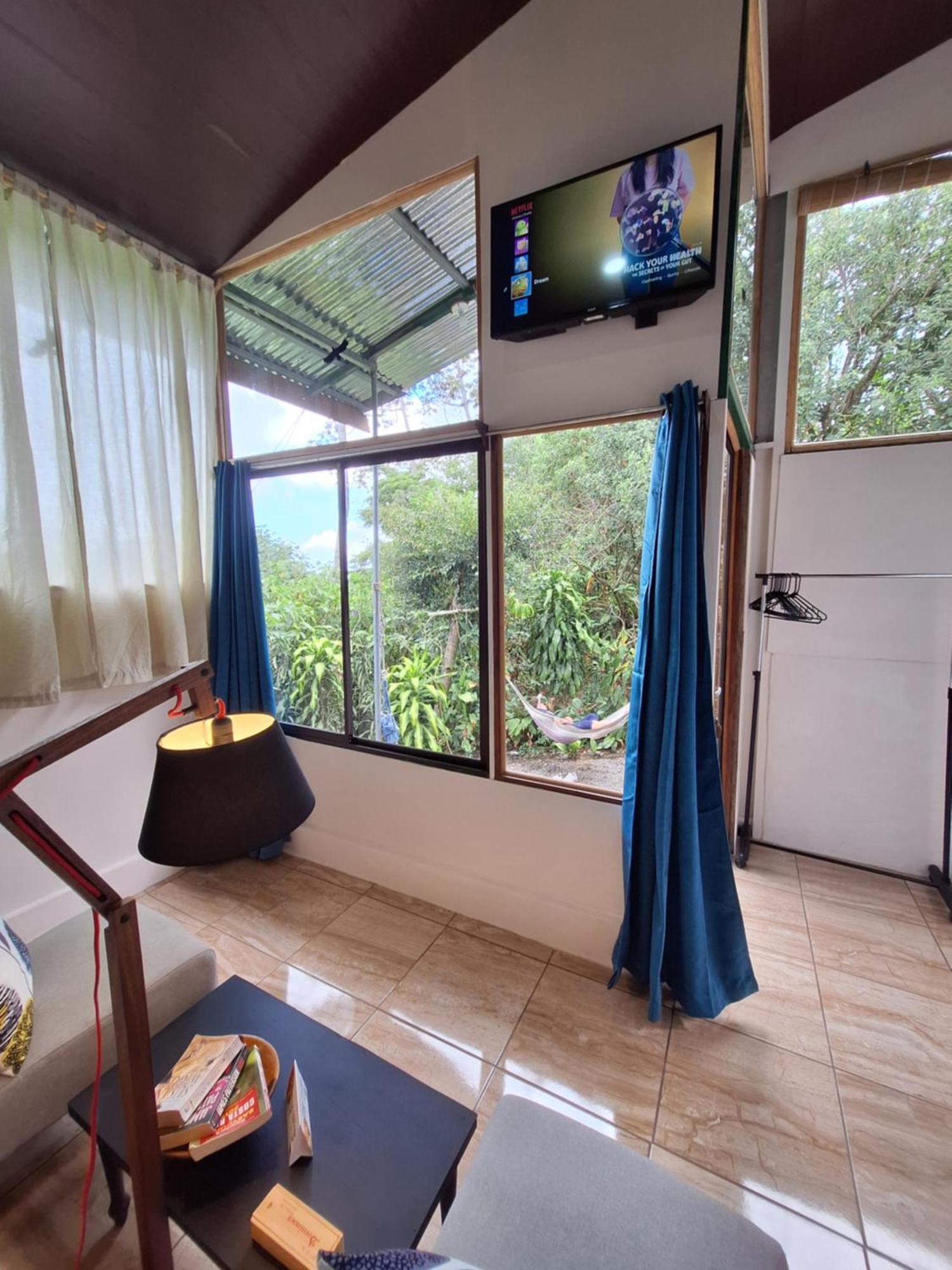 Monteverde Cecropia Paradise Rom bilde