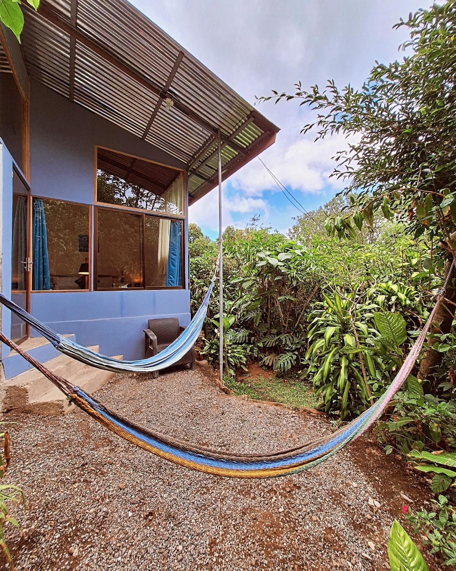 Monteverde Cecropia Paradise Rom bilde