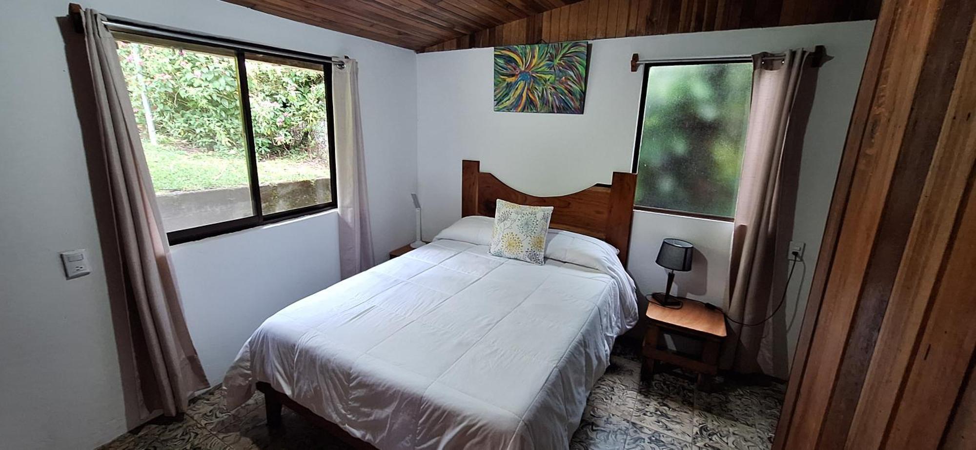 Monteverde Cecropia Paradise Rom bilde